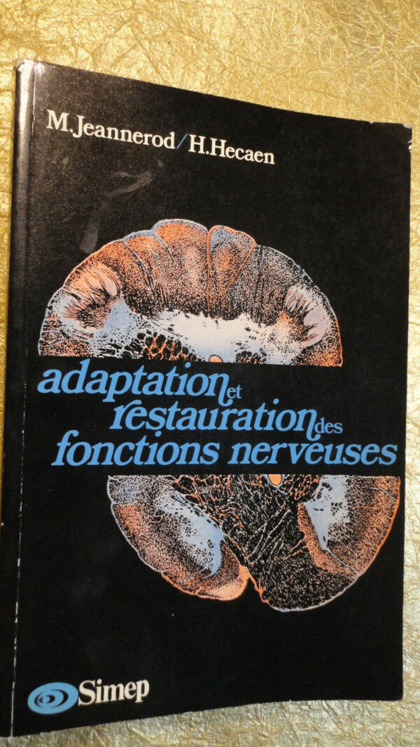 Adaptation et restauration des fonctions nerveuses