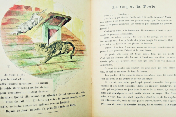 Animaux Domestiques, Librairie D'éducation Nationale 1908 Giraldon