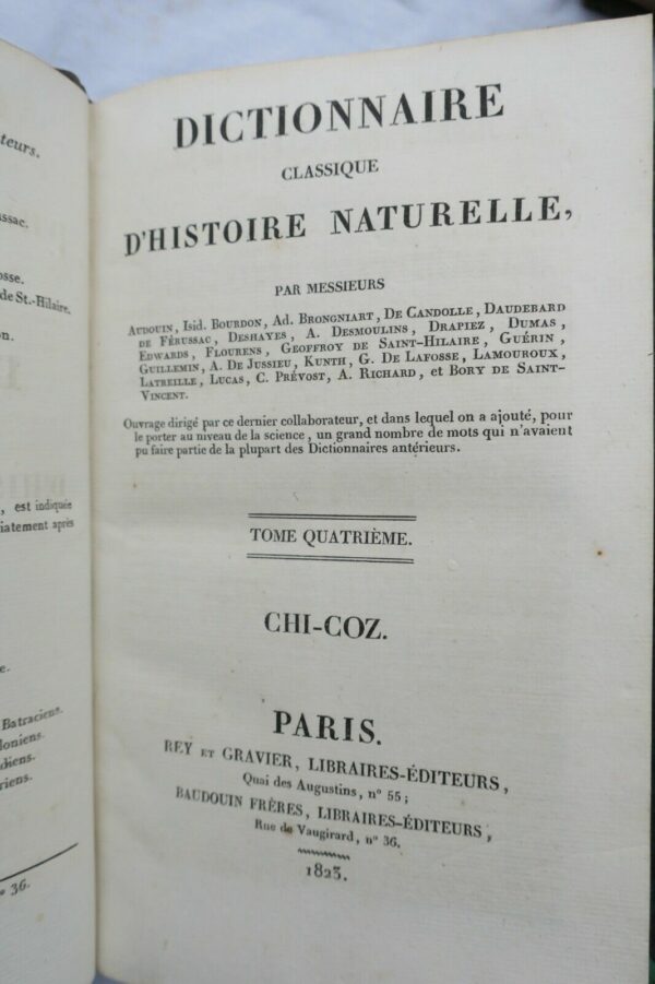 BORY DE SAINT-VINCENT Dictionnaire classique d'histoire naturel – Image 4