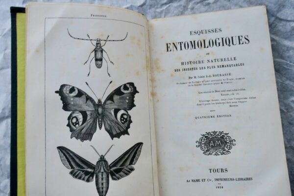 BOURASSE Esquisses entomologiques ou Histoire naturelle des insectes 1853 – Image 3