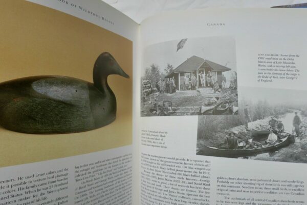 Bird Great Book of Wildfowl Decoys – Image 4