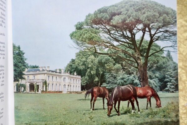 CHATEAUX EN GIRONDE 1956