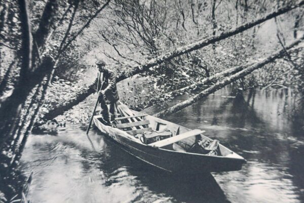 Chasse En chassant des Landes aux Pyrénées 1937 – Image 10