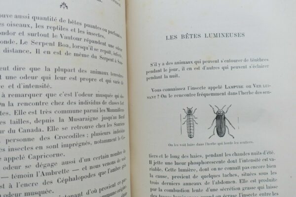 Curiosités de l'Histoire des Bêtes. Causeries familières – Image 10