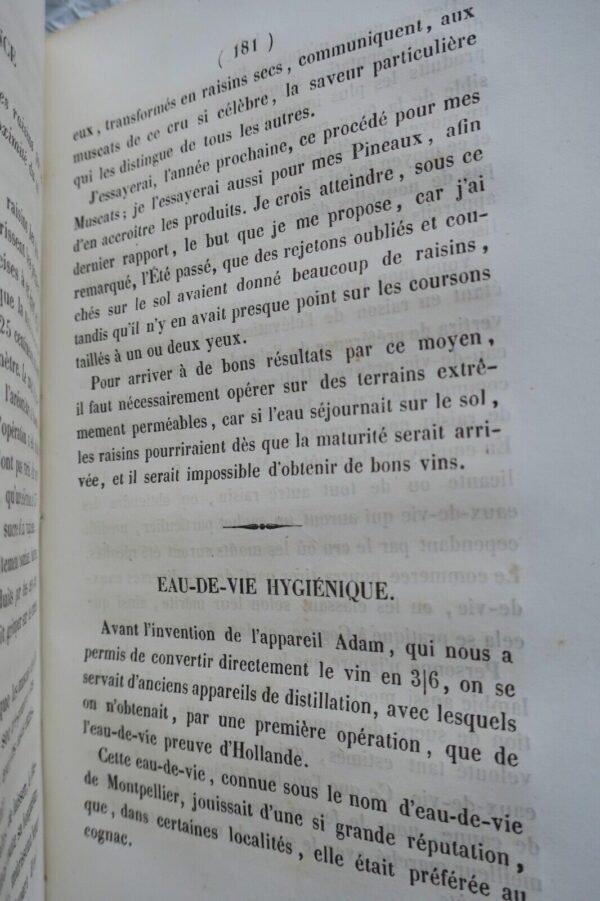 Hérault Bulletin de la sté centrale d'agriculture et des comices agricoles 1859 – Image 5