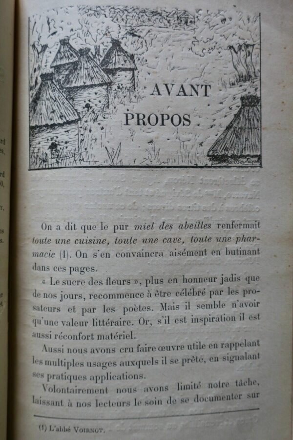 Miel le miel ses usages et ses propriétés 1912 – Image 19