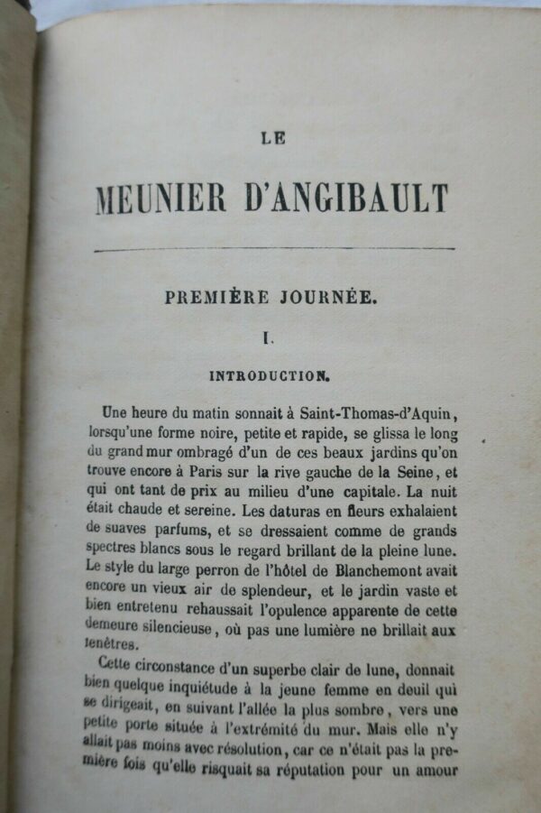 Sand, le neunier d'Angibault 1879 – Image 6