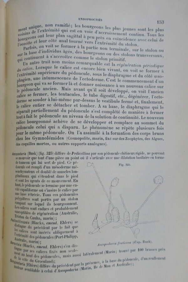 Traité de zoologie concrète. Tome V: Les vermidiens 1897 – Image 6