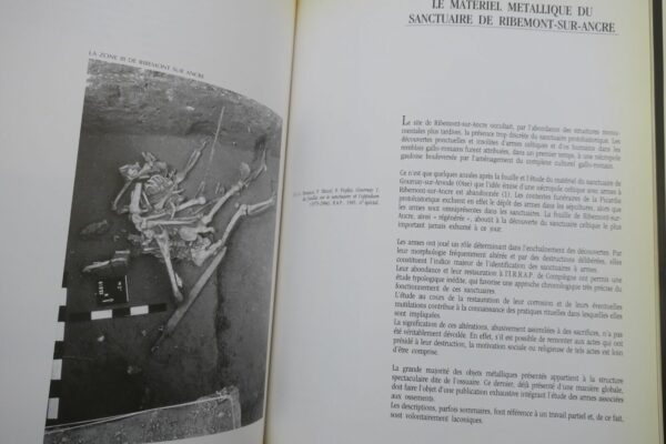 collections archéologiques du Musée de Picardie – Image 8