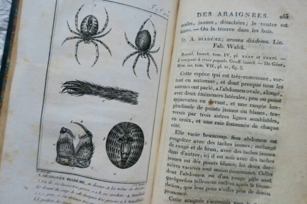 crustacés Histoire Naturelle.. des Crustacés et des insectes 1802 – Image 11