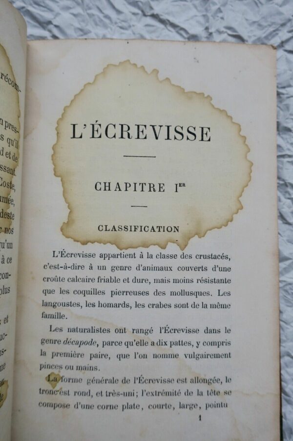 écrevisse - Moeurs - Reproduction - Éducation 1869 – Image 7