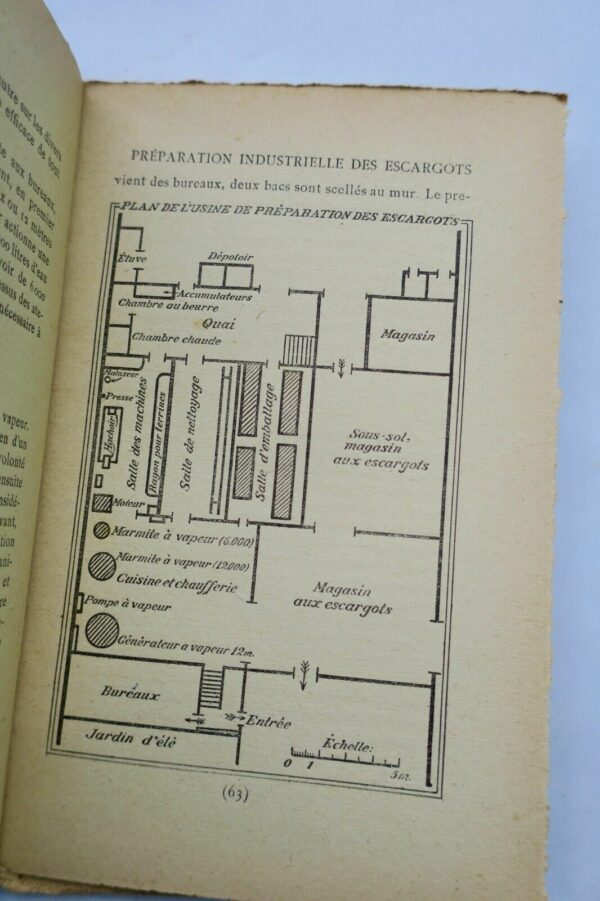 escargot - élevage & parcage lucratifs, préparation... – Image 6