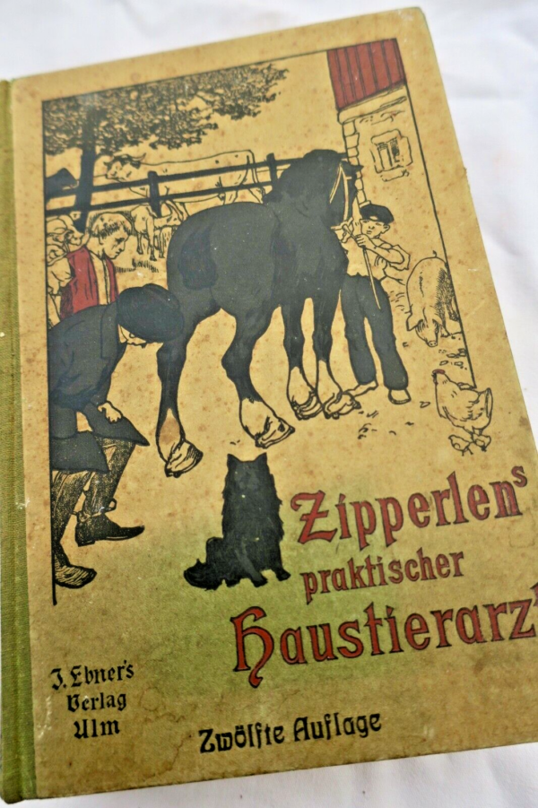 vétérinaire Haustierarzt für Landwirte und Haustierbesitzer 1922