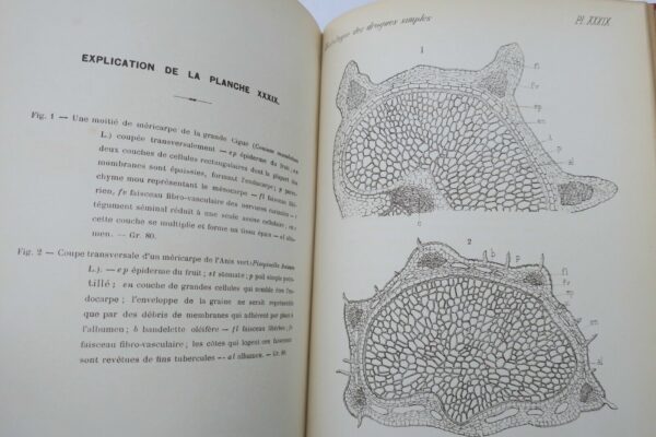 Atlas Manuel de L'Histologie des drogues simples 1887 – Image 3