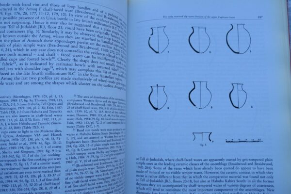 Between the Rivers & Over the Mountains: Archaeologica Anatolica et Mesopotamica – Image 8