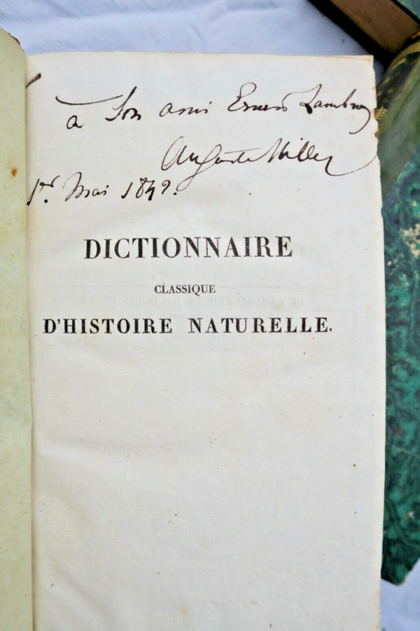 Bory de Saint-Vincent Classic Dictionary of Natural History – Image 12