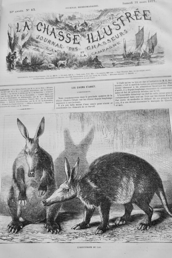 Chasse illustrée - Journal des chasseurs et de la vie à la campagne 1877 – Image 5