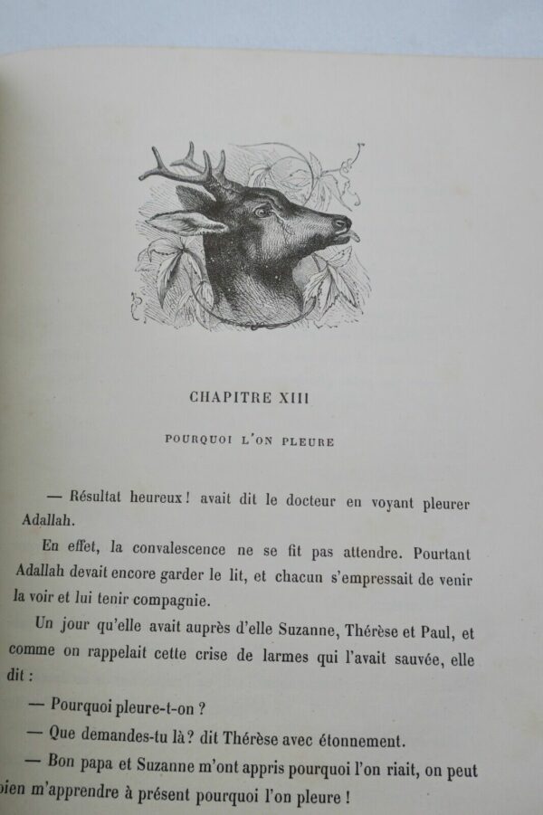 DESBEAUX EMILE LES POURQUOI ET LES PARCEQUE DE Melle SUZANNE – Image 6