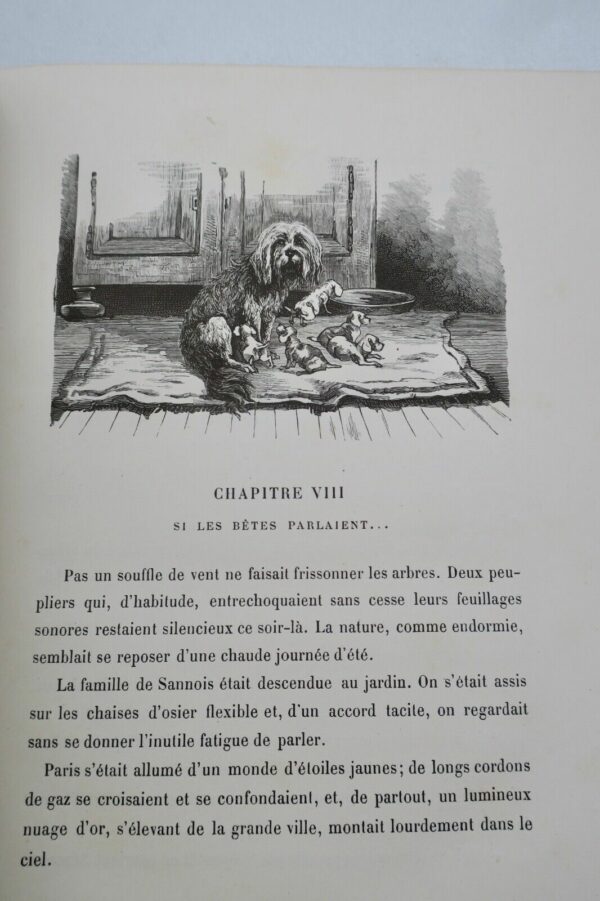 DESBEAUX EMILE LES POURQUOI ET LES PARCEQUE DE Melle SUZANNE – Image 7