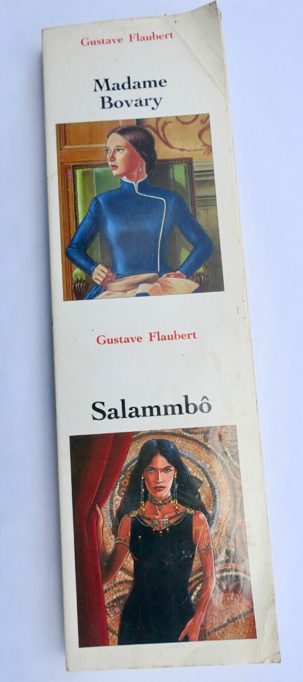 Flaubert Madame Bovary + Salammbô (non coupés)