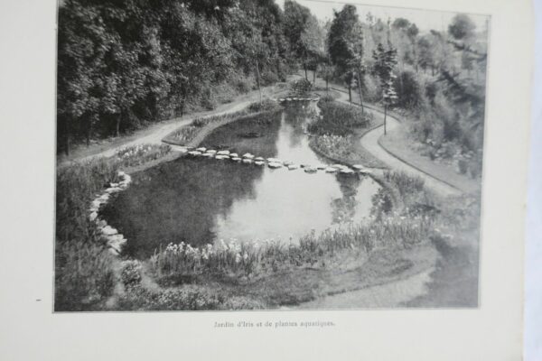 Jardin LAUMONNIER-FERARD E. Les jardins de plantes vivaces – Image 13