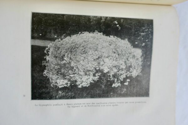 Jardin LAUMONNIER-FERARD E. Les jardins de plantes vivaces – Image 4