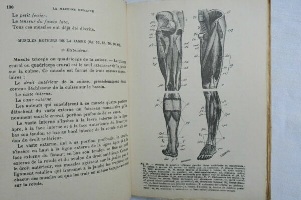 LA MACHINE HUMAINE ANATOMIE MECANIQUE PHYSIOLOGIE