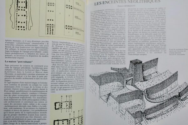 PREHISTORIQUE  LE TEMPS DE LA PREHISTOIRE – Image 4