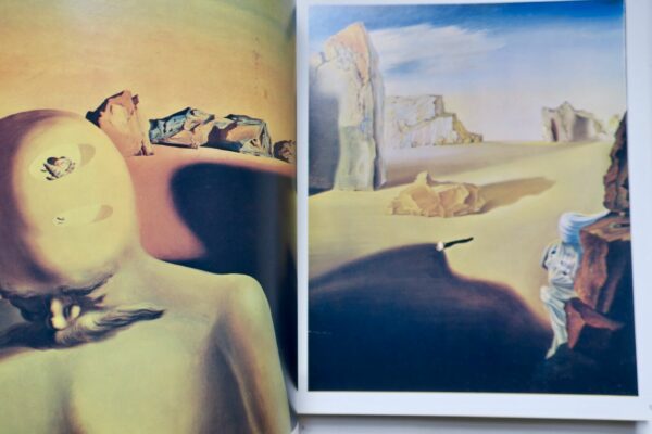 Salvador Dalí catalog of a collection; ninety-three oils, 1917-1970 – Image 6