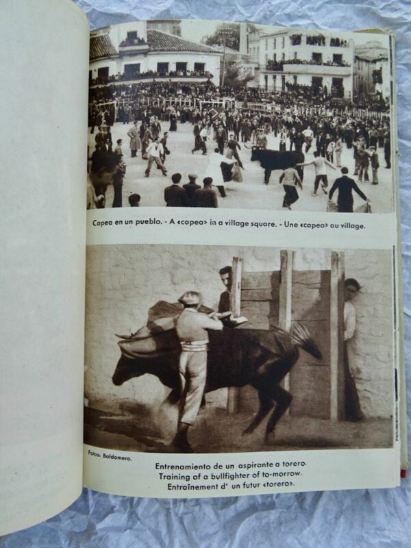 Taureau  INITIATION A L'ART TAURIN. (TOROS ET TOREROS). – Image 12