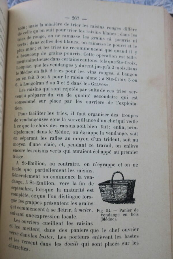 VIN  Procédés modernes de vinification 1899 – Image 5