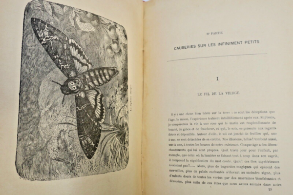 VOYAGE AU PAYS DES MERVEILLES – Image 5