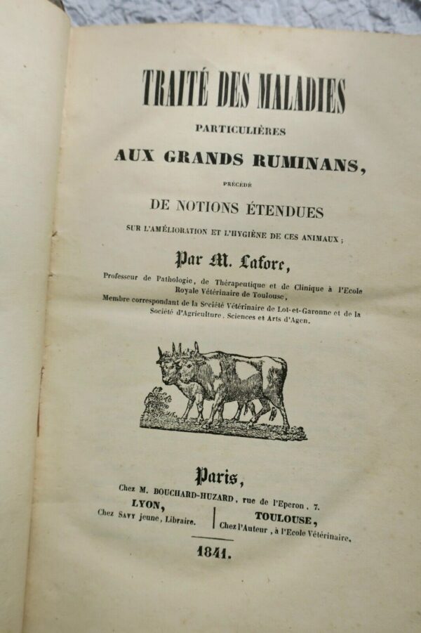 Vache LAFORE Traité des Maladies particulières aux grands Ruminants 1841 – Image 3