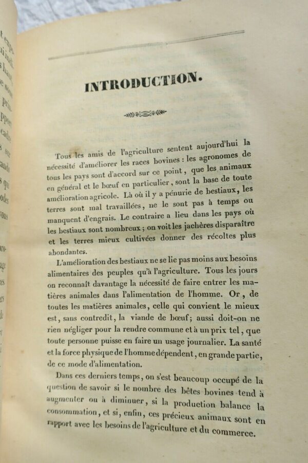 Vache LAFORE Traité des Maladies particulières aux grands Ruminants 1841 – Image 8