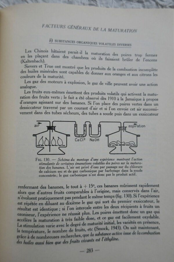 Vie des fruits, origine, développement, structure, physiologique... – Image 3