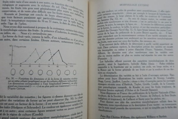 Vie des fruits, origine, développement, structure, physiologique... – Image 6