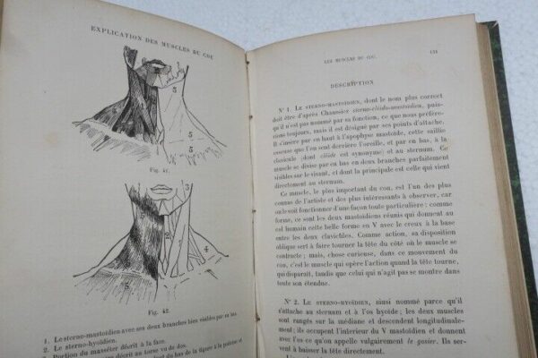 anatomie d'anthropologie et d'ethnographie appliquées 1886 – Image 11