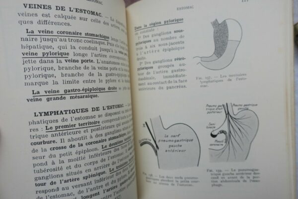 anatomie descriptive et régionale Dupuy de Frenelle – Image 11