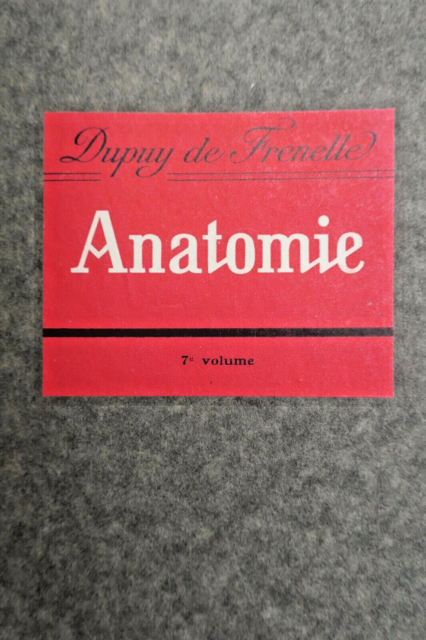 anatomie descriptive et régionale Dupuy de Frenelle – Image 3