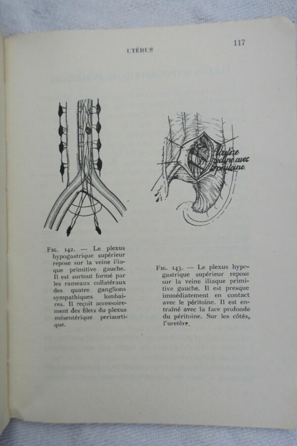 anatomie descriptive et régionale Dupuy de Frenelle – Image 5