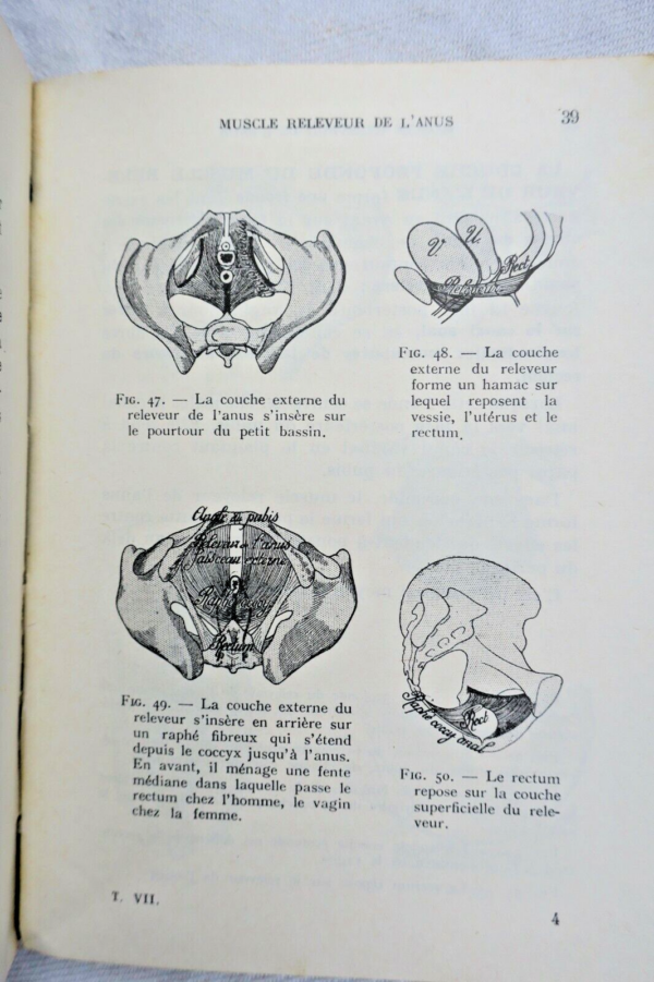 anatomie descriptive et régionale Dupuy de Frenelle – Image 7