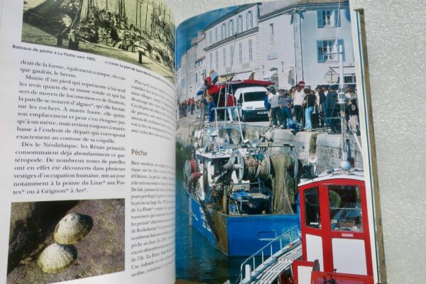 île de Ré Dictionnaire de l'île de Ré - Sites, nature, patrimoine, histoire 2008 – Image 16