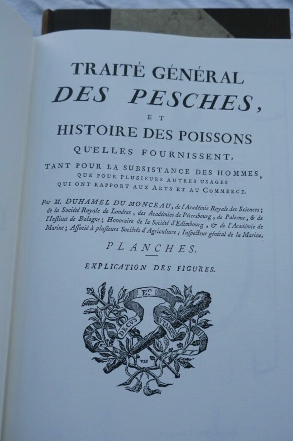 pêche Duhamel du Monceau Traité général des pesches, et histoire des poissons – Image 9