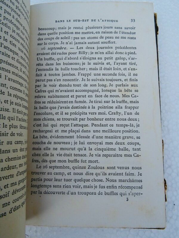 Afrique BALDWIN (W. C.). Du Natal au Zambèze, 1851-1866. Récits de chasses 1872 – Image 6
