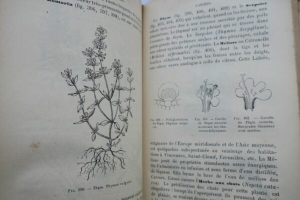 BOTANIQUE ORGANOGRAPHIE ET FAMILLE NATURELLES 1883 – Image 7