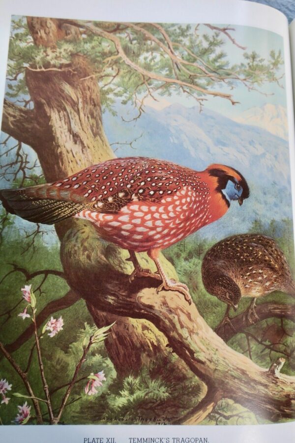 Bird Monograph of the Pheasants Beebe