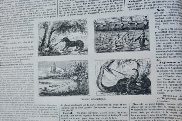 Chasse illustrée - Journal des plaisirs de la ferme et du château 1869-1870 – Image 7