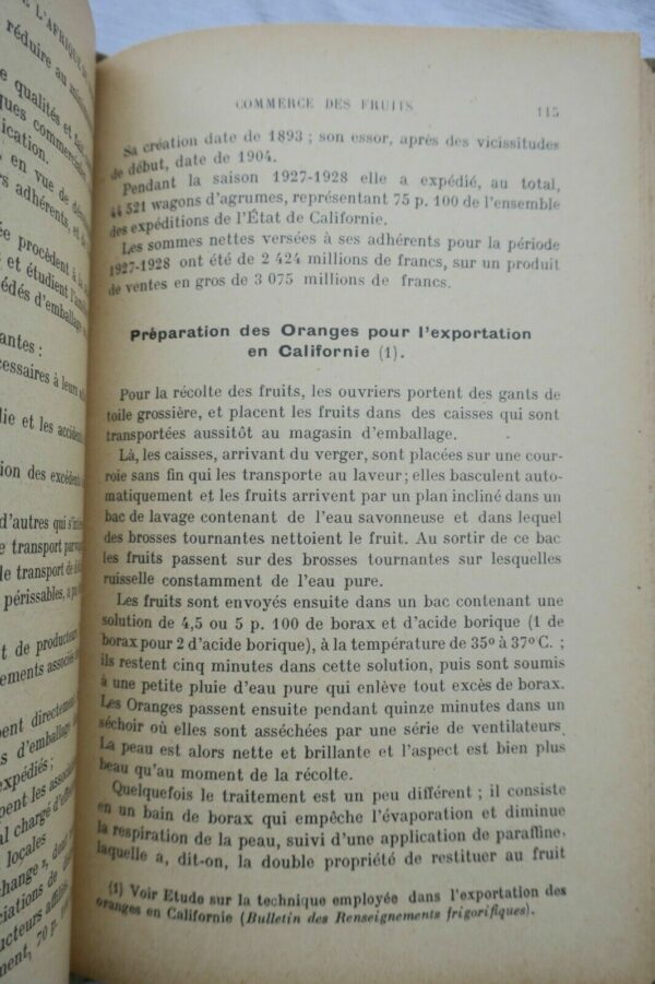 Culture des Fruits du Midi et de l'Afrique du Nord 1931 – Image 4