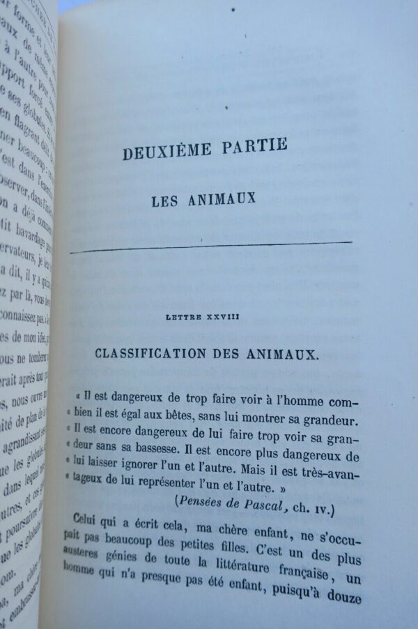 Histoire d'une bouchée de pain. Lettres à une petite fille...Hetzel – Image 3