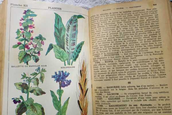 MEDECINE VEGETALE ILLUSTREE - MALADIES - REGIMES - TRAITEMENTS - – Image 3